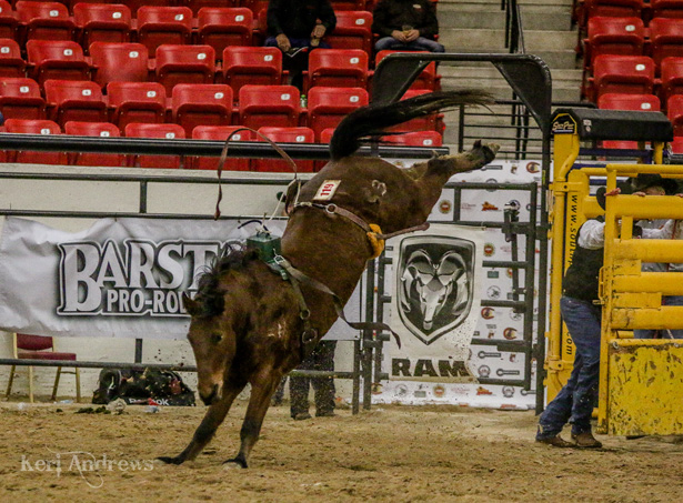 Buck 'em All Dummy on Y153, owned by Stan and Lori Headings of Watford City, North Dakota.